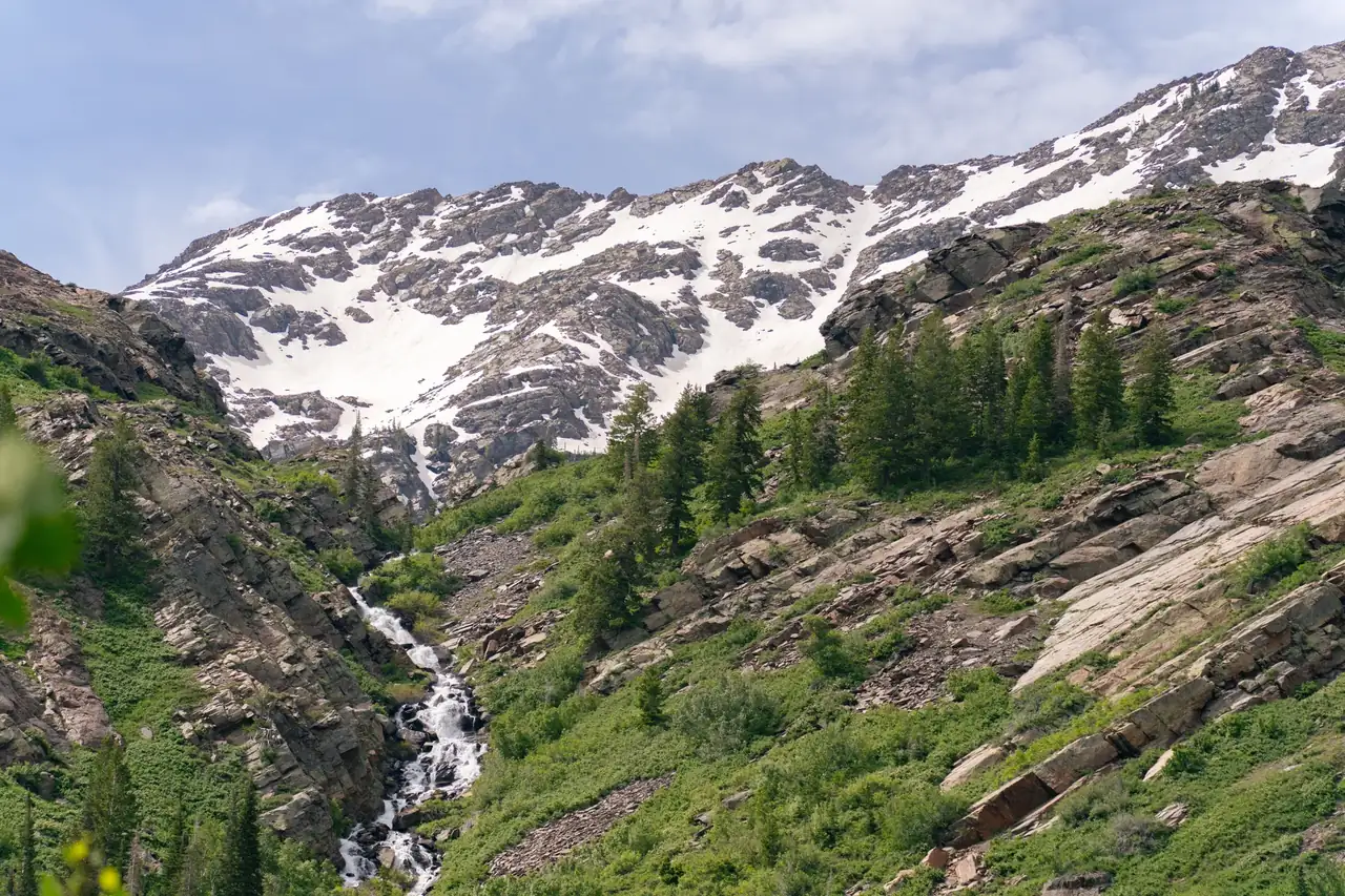Snow-streaked Wasatch peaks above a pine-covered canyon near Salt Lake City